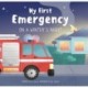 My First Emergency: On a Winter's Night