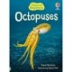 Beginners Octopuses