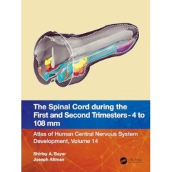 The Spinal Cord during the First and Early Second Trimesters 4- to 108-mm Crown-Rump Lengths: Atlas of Human Central Nervous System Development, Volume 14