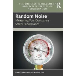 Random Noise: Measuring Your Company's Safety Performance