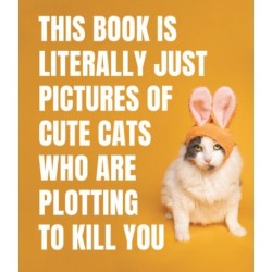 This Book is Literally Just Pictures of Cute Cats Who Are Plotting to Kill You