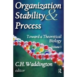 Organization Stability and Process: Volume 3