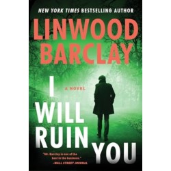 I Will Ruin You: A Novel