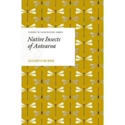 Native Insects of Aotearoa