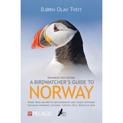 A Birdwatcher’s Guide to Norway: Where, when and how to find Scandinavia’s most sought-after birds