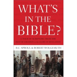 What's In the Bible: A Tour of Scripture from the Dust of Creation to the Glory of Revelation