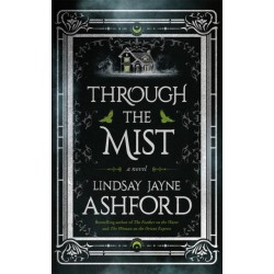 Through the Mist: A Novel