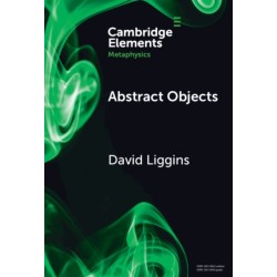 Abstract Objects