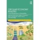 Circular Economy Realities: Critical Perspectives on Sustainability