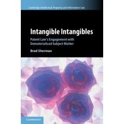 Intangible Intangibles: Patent Law's Engagement with Dematerialised Subject Matter