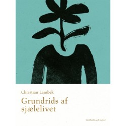 Grundrids af sjælelivet