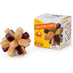 Brain Puzzle -02 Game