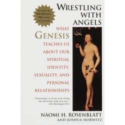 Wrestling With Angels: What Genesis Teaches Us About Our Spiritual Identity, Sexuality and Personal Relationships