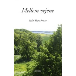 Mellem vejene