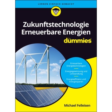 Zukunftstechnologie Erneuerbare Energien fur Dummies