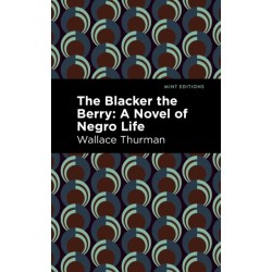 The Blacker the Berry: A Novel of Negro Life