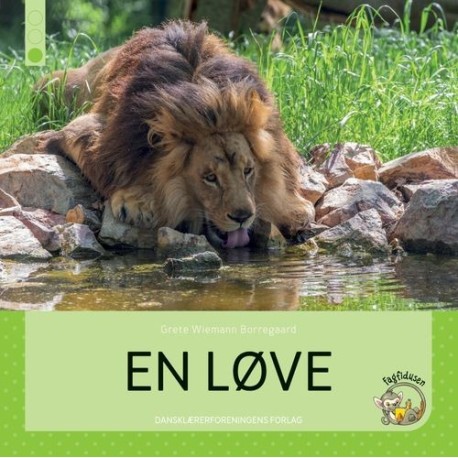 En løve: Fagfidusen. Niveau 1