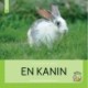 En kanin: Fagfidusen. Niveau 1