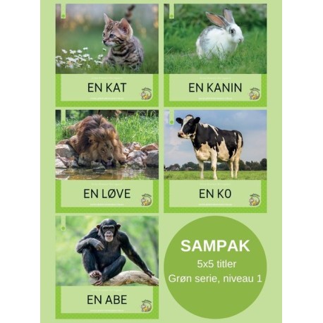 Fagfidusen. Niveau 1. Sampak A: 5x5 titler i grøn serie