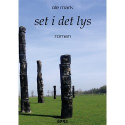 Set i det lys