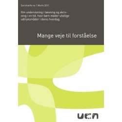 Mange veje til forståelse