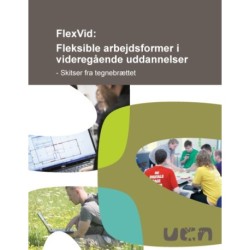 FlexVid: Fleksible arbejdsformer i videregående uddannelser: Skitser fra tegnebrættet