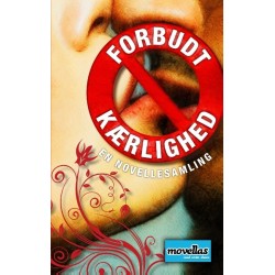 Forbudt kærlighed: - en novellesamling