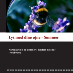 Lyt med dine øjne - Sommer: Komposition og detaljer i digitale billeder - Hobbybog