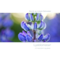 Lysblomster