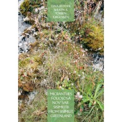 Micranthes foliolosa nov. var. sisimiutii  from Sisimiut, Greenland