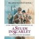 A Study in Scarlet: Illustrated by Nis Jessen