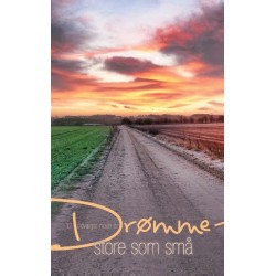 Drømme - store som små: 12 udvalgte noveller