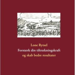 Forstærk din tiltrækningskraft: og skab bedre resultater