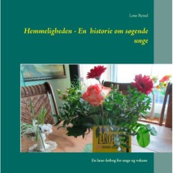 Hemmeligheden - En  historie om søgende unge: En læse-letbog for unge og voksne