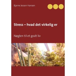 Stress – hvad det virkelig er: Nøglen til et godt liv