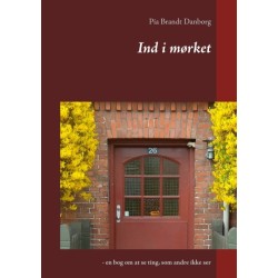 Ind i mørket: - en bog om at se ting, som andre ikke ser