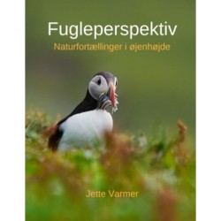 Fugleperspektiv: Naturfortællinger i øjenhøjde