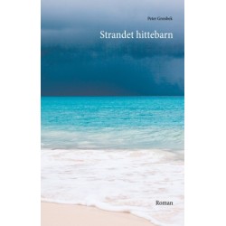 Strandet hittebarn: Roman