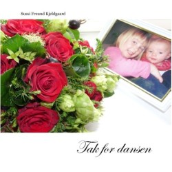 Tak for dansen: En digtsamling om sorg, savn og kærlighed