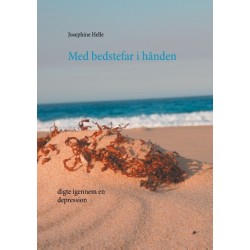 Med bedstefar i hånden: digte igennem en depression