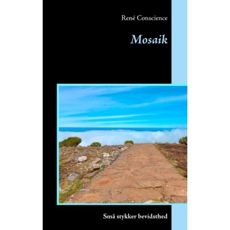 Mosaik: Små stykker bevidsthed