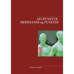Akupunktur Meridianer og Punkter