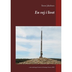 En vej i livet: ...min vandring på Camino de Santiago, Frances, 2003