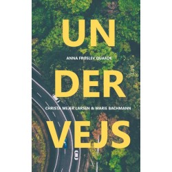 Undervejs: Skriv YA! - efteråret 2019