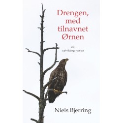 Drengen, med tilnavnet Ørnen: En udviklingsroman