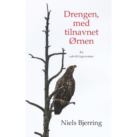 Drengen, med tilnavnet Ørnen: En udviklingsroman