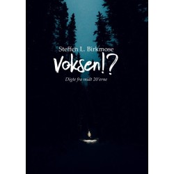 Voksen!?: Digte fra midt i 20'erne