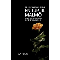 En tur til Malmö: og 11 andre gribende skæbnefortællinger