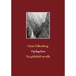 Opdagelsen: En gådefuld novelle