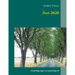 Året 2020: - almindelige dage i en ualmindelig tid